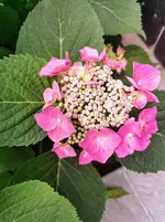 IMG_20220701_195641.webp