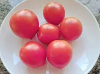 20220702_095950.webp