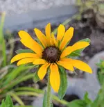 20220620_211822.webp