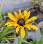 20220620_211822.jpg
