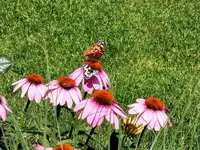 IMG_20220702_124345.webp