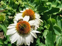 IMG_20220702_124531.webp