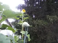 BILD0150.webp
