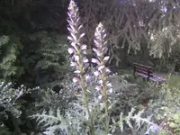 BILD0021.webp
