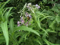 BILD0115.webp