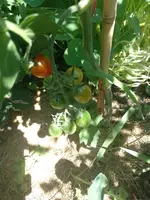 IMG_20220702_150832.webp