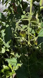 6AA5CA4D-1CEB-4AD0-B762-52BE053B9E93.jpeg
