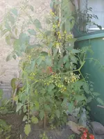 IMG_20220702_151433.webp