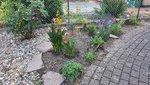 2022-07-03 Beet Oma.jpg