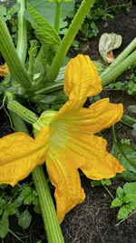 B45502CE-983B-4A81-8A66-10AFD8CC6D8D.jpeg