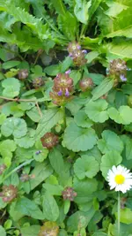 20220702_174046.webp