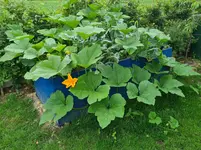 20220704_090343.webp