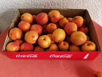 IMG_20220704_100554.webp