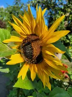 20220704_182422.webp