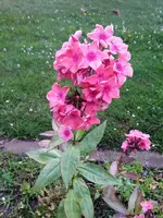 20220704_210258.webp