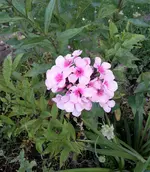20220704_210312.webp