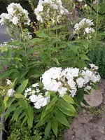 20220704_210400.webp