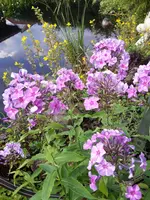 20220704_210408.webp