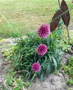 20220704_210627.webp