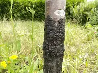 IMG-20220629-WA0003.webp