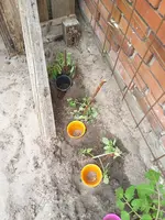 Resizer_16570248900901.webp