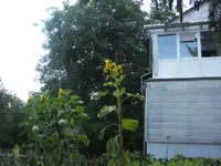 BILD0214.webp