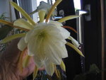 BILD0210.JPG