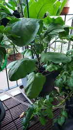 20220705_204039.webp