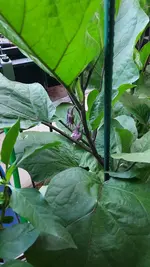 20220705_204044.webp