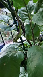 20220705_204050.webp