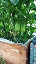 20220702_163821.webp