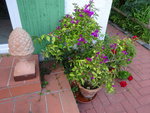 DSC02558.JPG