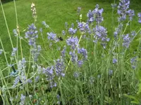 BILD0119.webp