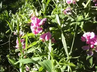 BILD0181.webp