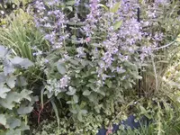BILD0117.webp