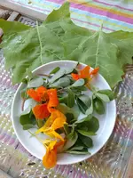 IMG_20220706_085927.webp