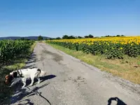 IMG_20220706_075733.webp