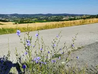 IMG_20220706_080613.webp