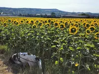 IMG_20220706_082710.webp