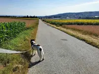 IMG_20220706_082627.webp