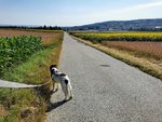 IMG_20220706_082627.jpg