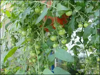 c064.webp
