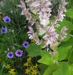 20220622_074806.jpg