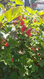 20220706_142830.webp