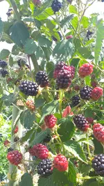 20220706_142717.webp