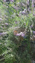 20220706_141750.webp