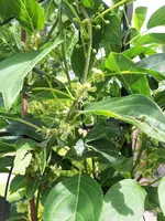 20210618_154442.webp 20210618_154442.webp