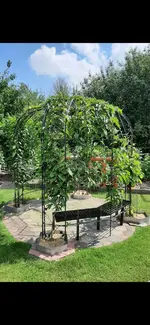 Screenshot_20210620-151055_Gallery.webp Screenshot_20210620-151055_Gallery.webp