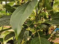 20210702_135959.webp 20210702_135959.webp