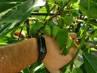 20210815_101002.webp 20210815_101002.webp